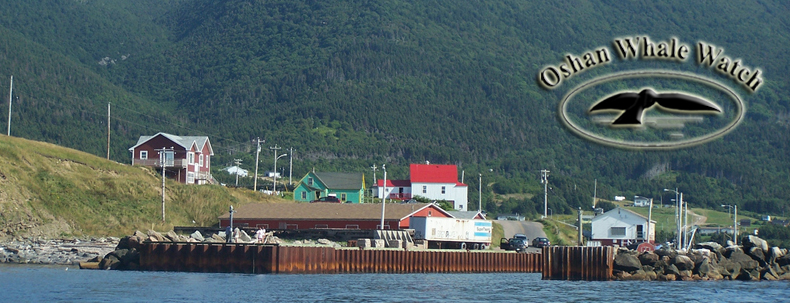 A wharf in Bay St. Lawrence